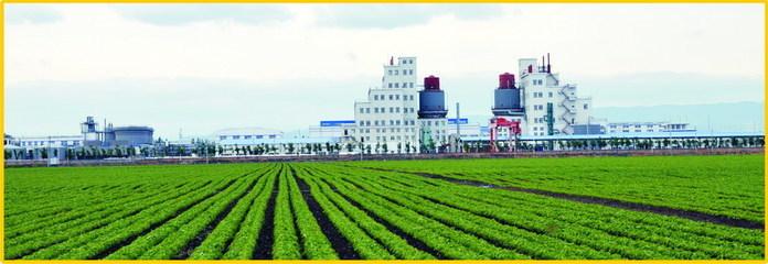 天業(yè)集團，維權,知識產(chǎn)權